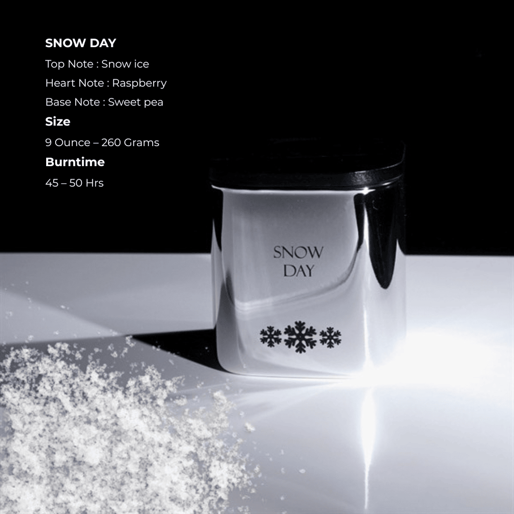 Limited Christmas Crisp Winter Air Raspberry & Sweet Pea Snow Day Scent Candle