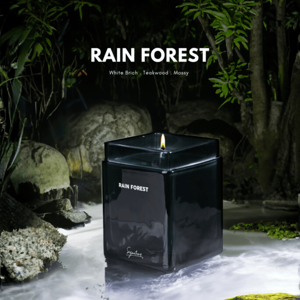 White Birch Teakwood & Tropical Moss Rain Forest Scented Candle