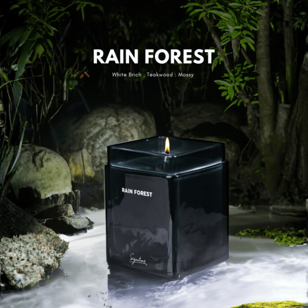 White Birch Teakwood & Tropical Moss Rain Forest Scented Candle