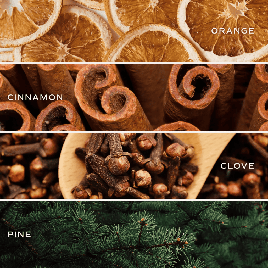 Orange, Cinnamon, Clove & Pine Warm and Cozy Scented Candle