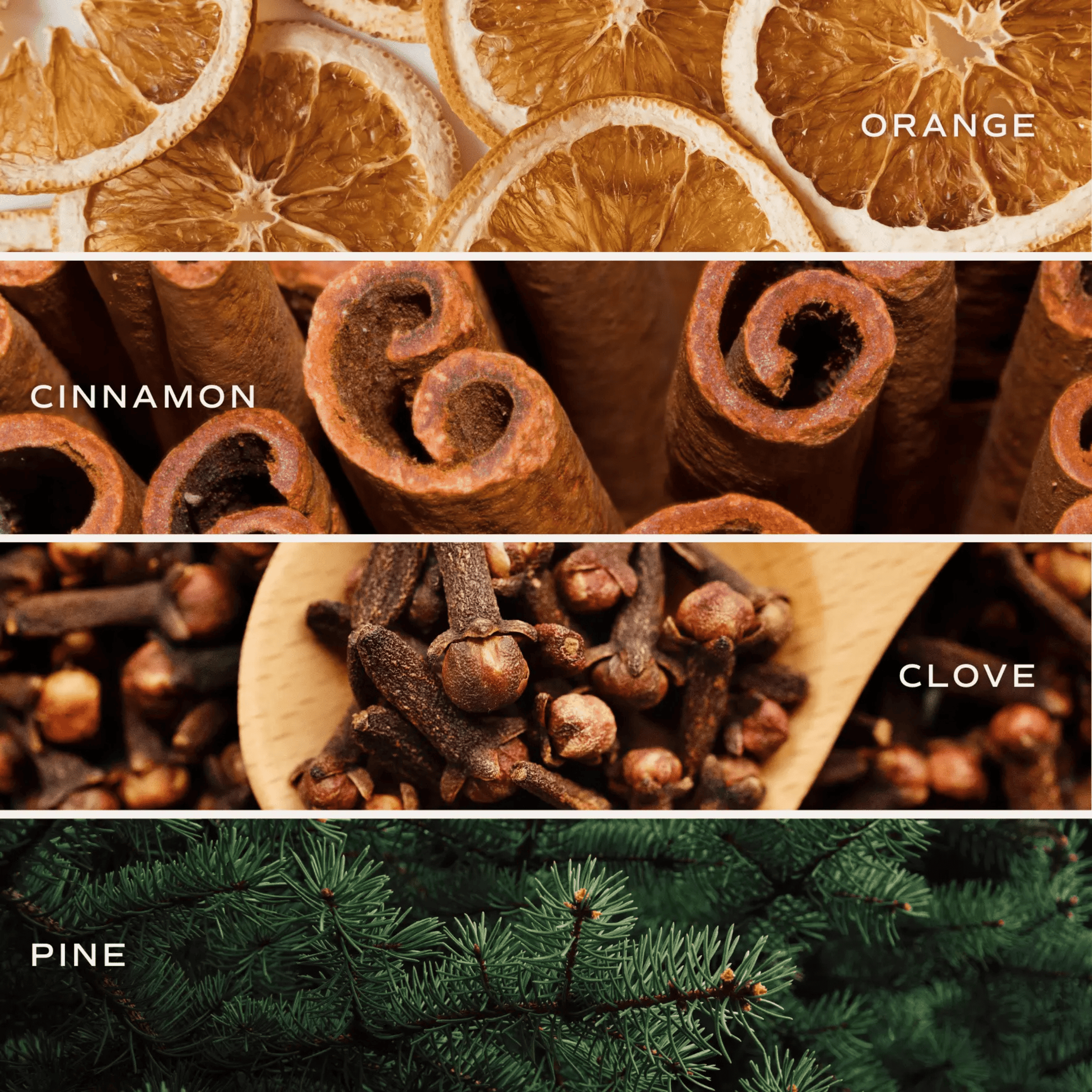 Orange, Cinnamon, Clove & Pine Warm and Cozy Scented Candle