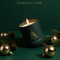 Limited Winter Pine Leaf, Balsam & Musk Evergreen Pine Scented Candle