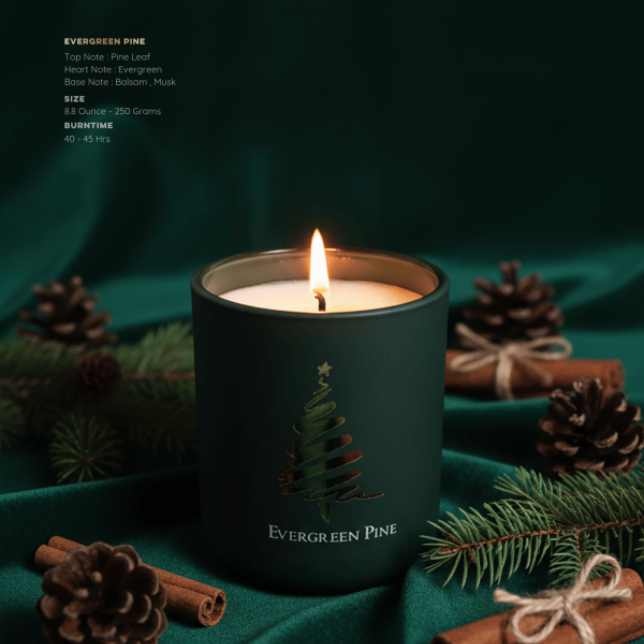Limited Winter Pine Leaf, Balsam & Musk Evergreen Pine Scented Candle