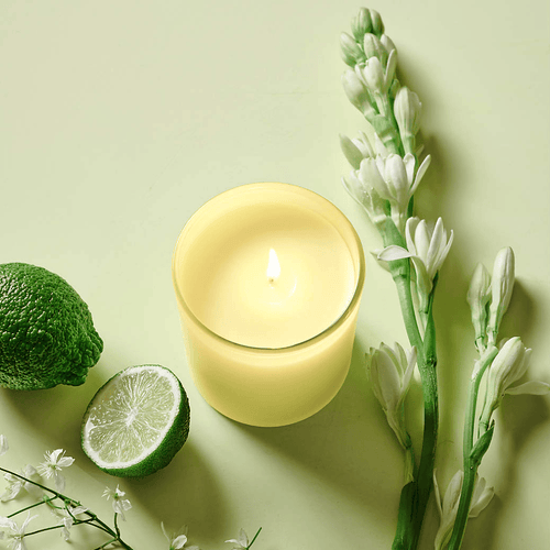 Crisp Bergamot, Radiant Tuberose & Creamy Sandalwood Scented Candle