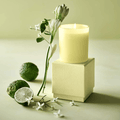 Crisp Bergamot, Radiant Tuberose & Creamy Sandalwood Scented Candle