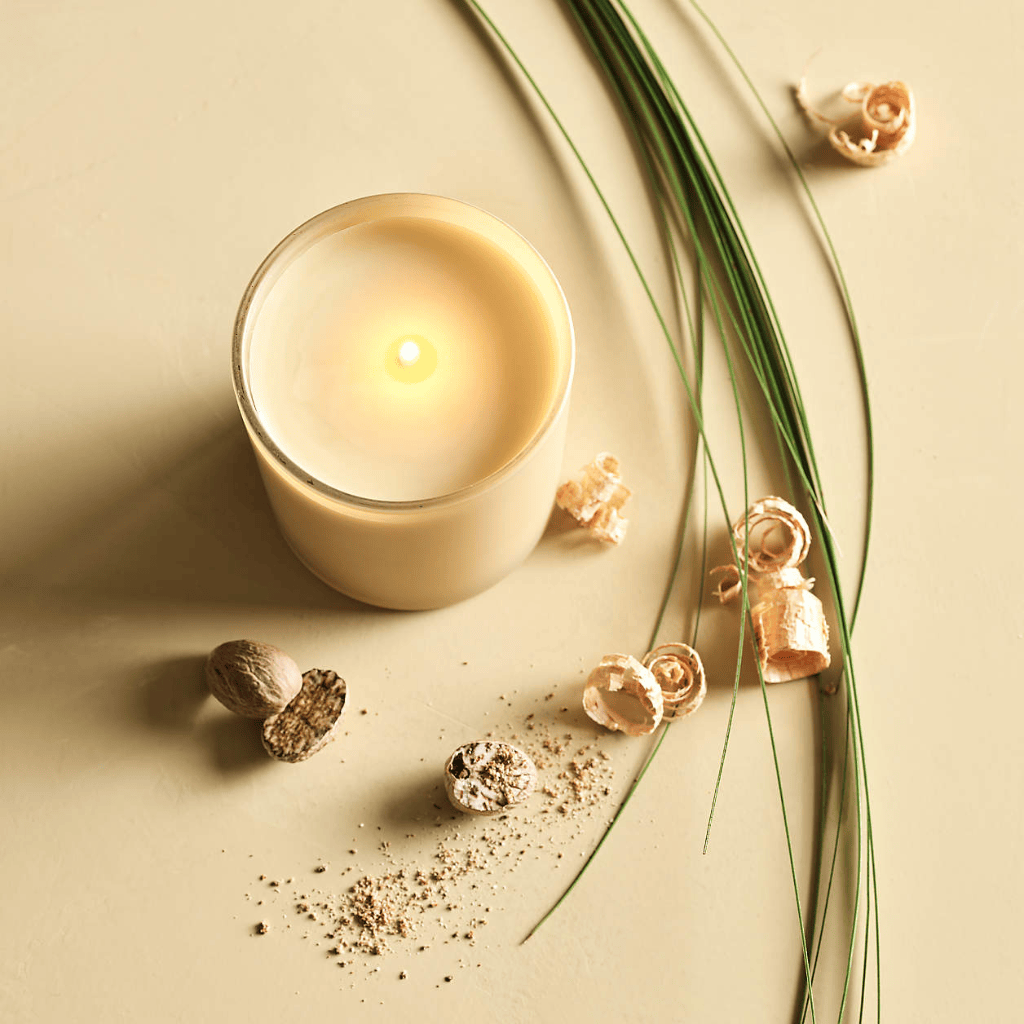 Beach Grass, Spiced Nutmeg & Earthy Oakwood Scented Candle