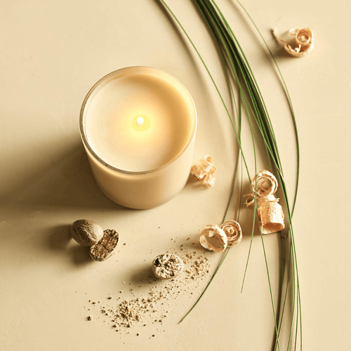 Beach Grass, Spiced Nutmeg & Earthy Oakwood Scented Candle