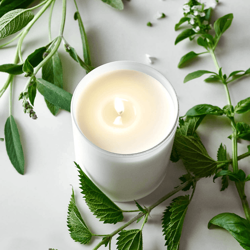 Bright Lemon Zest, Crisp Mint & Velvet Cashmere Wood Scented Candle
