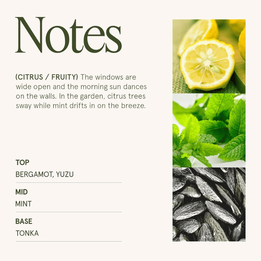 Yuzu, Refreshing Mint & Warm Tonka Citrus Mint Candle