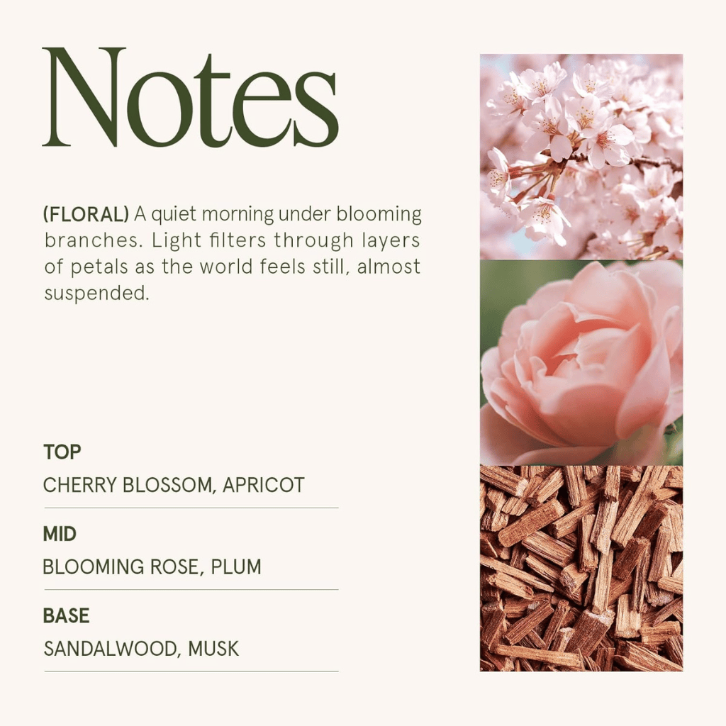 Blooming Rose & Warm Sandalwood Cherry Sakura Candle