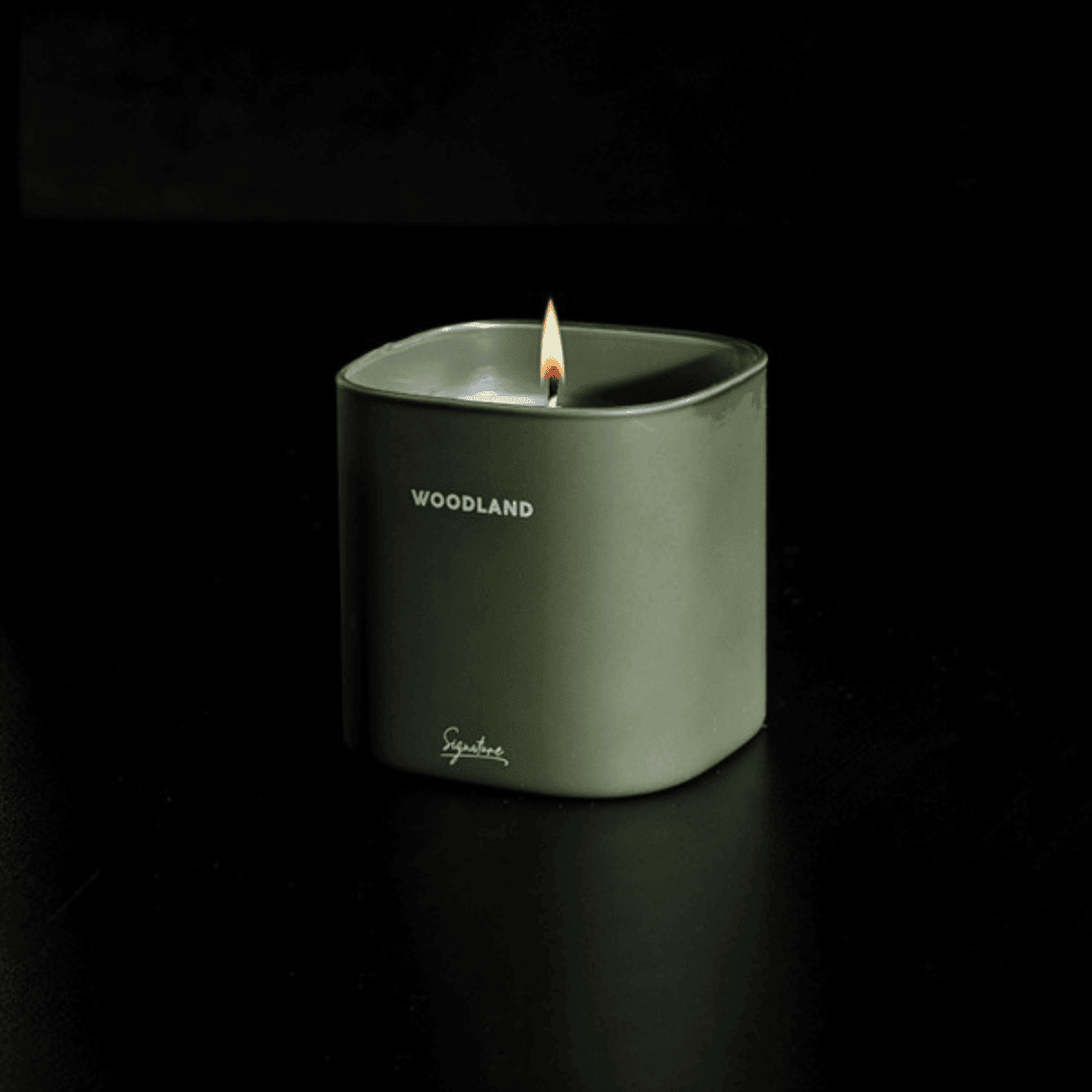 Ancient Forest & White Birch Scented Deep Woodland Candle