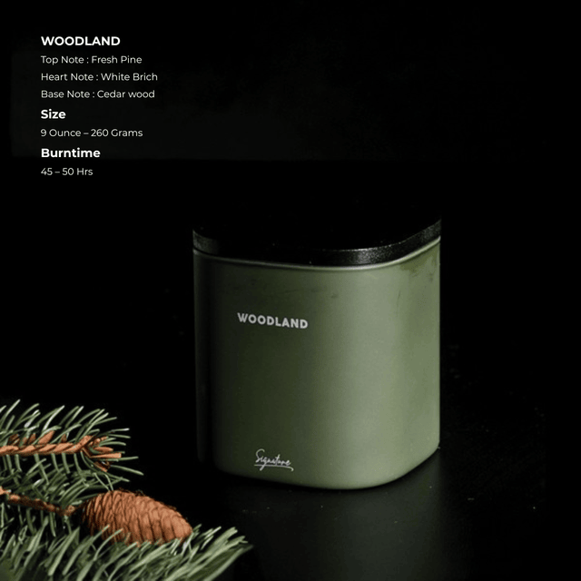 Ancient Forest & White Birch Scented Deep Woodland Candle