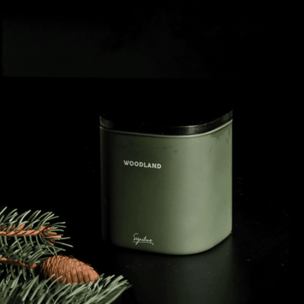 Ancient Forest & White Birch Scented Deep Woodland Candle