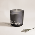 Smokey Teak & Classic Suede Scented Musk Osmanthu Candle